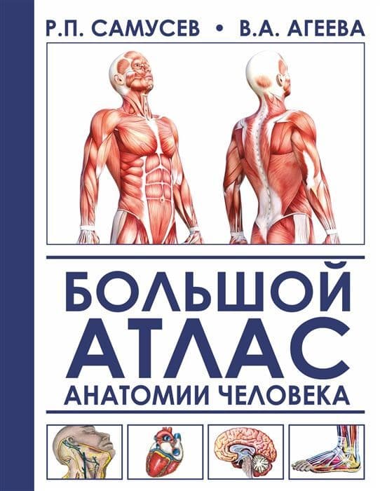 Большой атлас анатомии человека - купить в магазине Кассандра, фото, 9785171127930, 