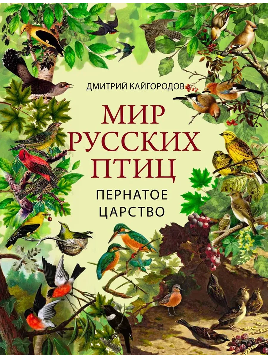 Мир русских птиц. Пернатое царство