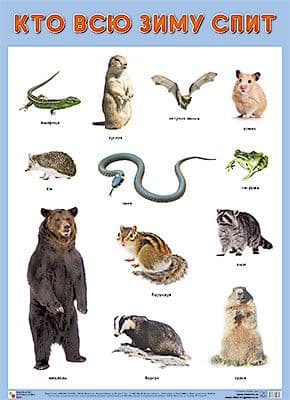  .     -    , , 9785431516382, 