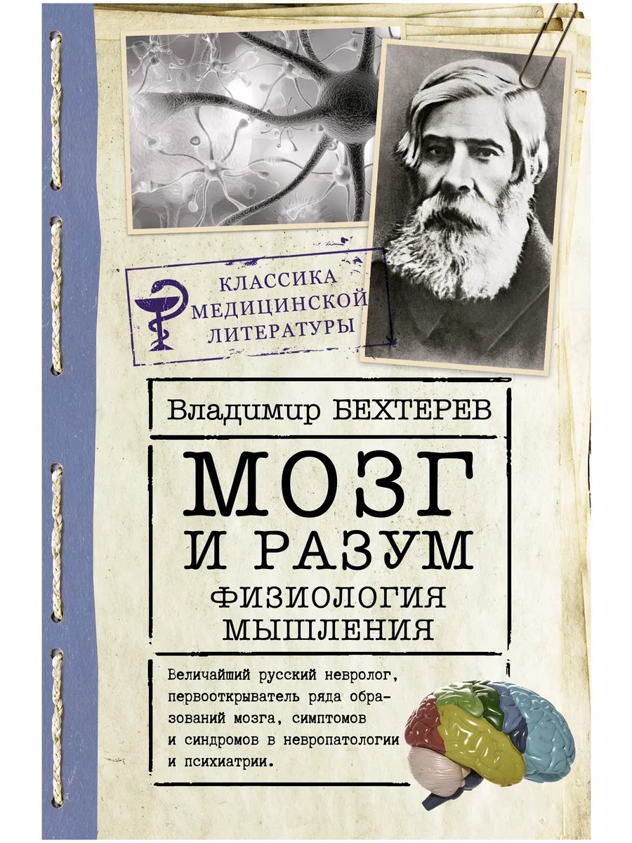 Мозг и разум: физиология мышления