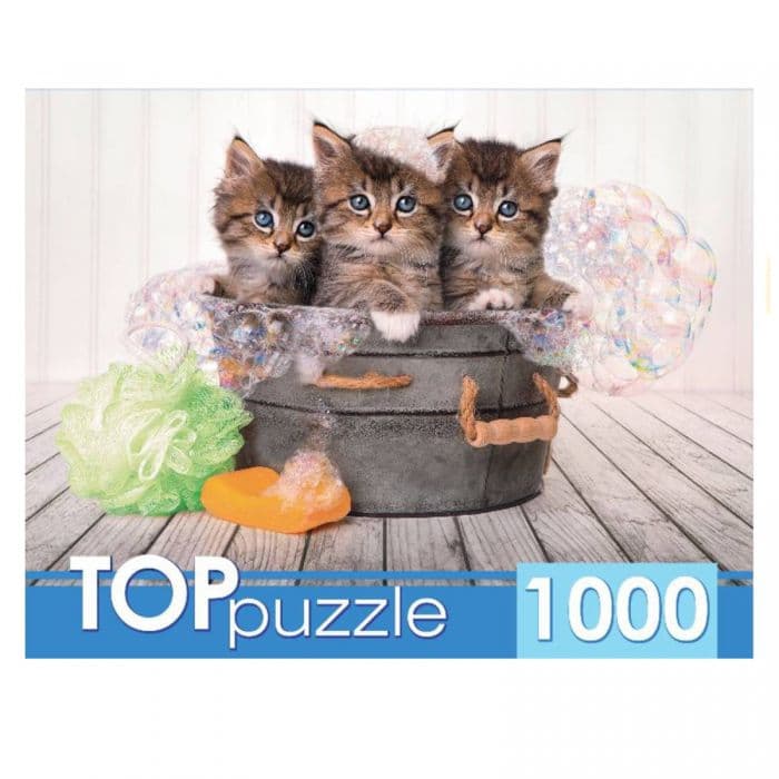 TOPpuzzle. ПАЗЛЫ 1000 элементов. ШТТП1000-7182 Три голубоглазых котёнка - купить в магазине Кассандра, фото, 4620129771825, 