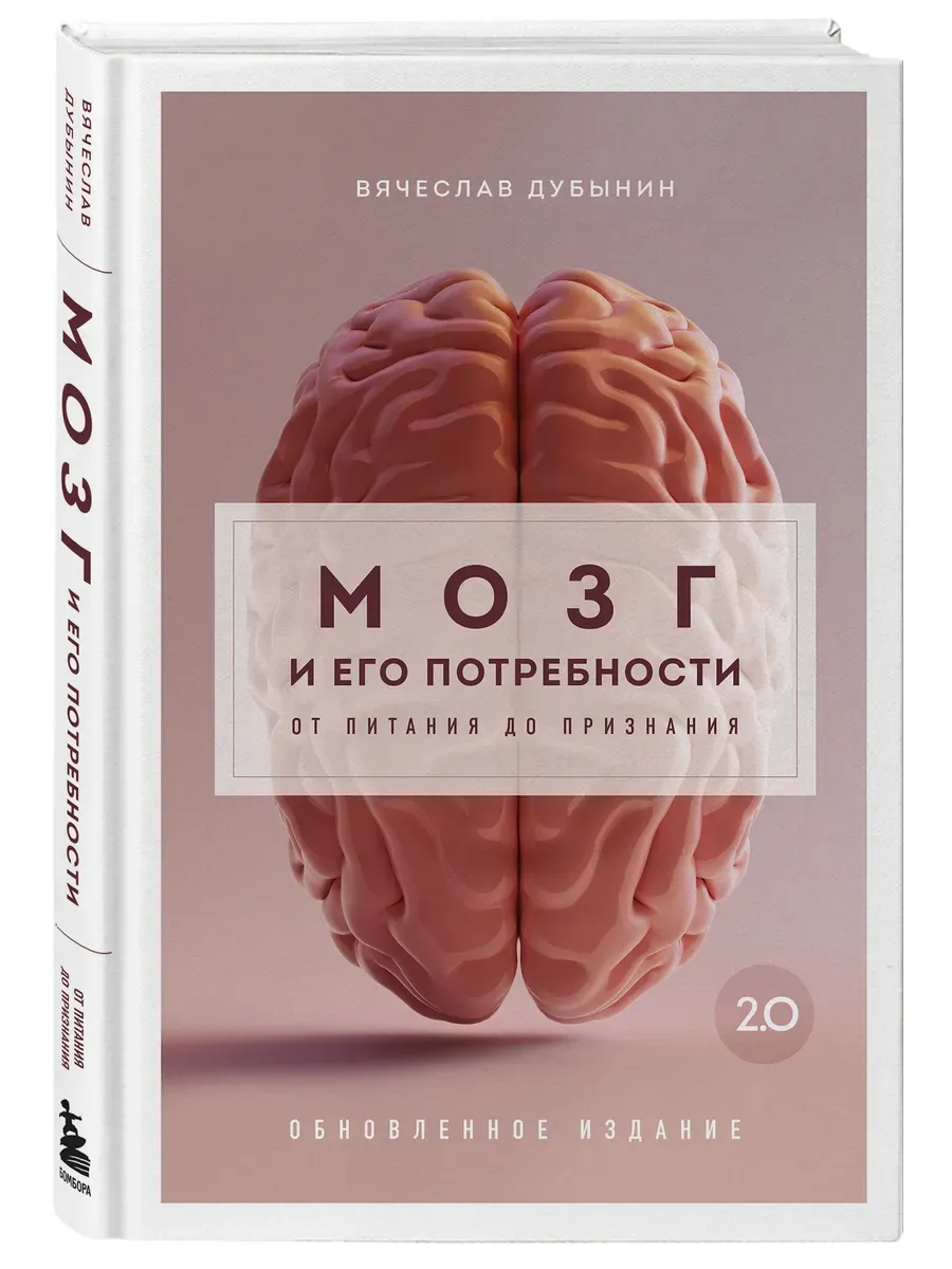 Мозг и его потребности. 2.0 от питания до признания