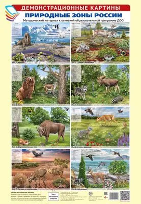   3.   . . -    (8 +.  -    , , 9785994932018, 