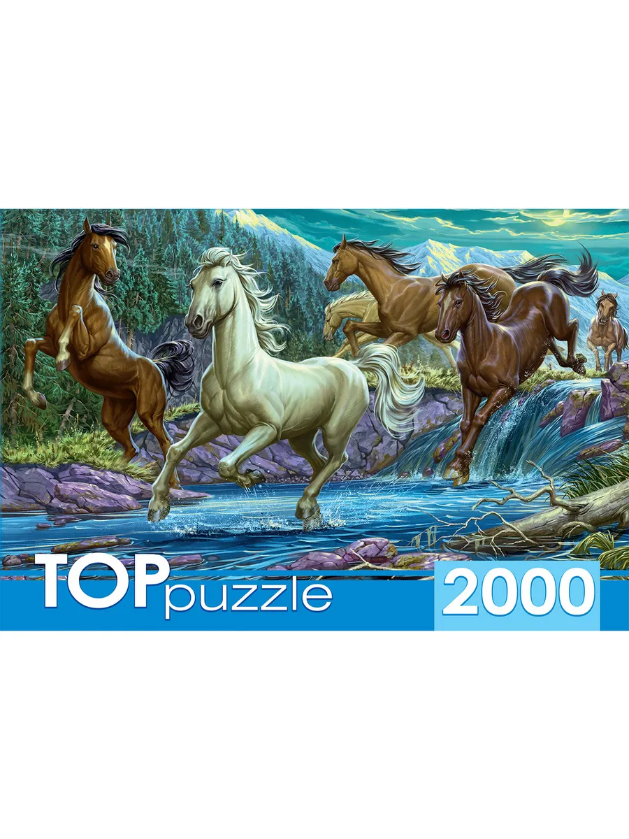 .2000."   " TOPpuzzle     92*68,   24*35, -    , , 4680088415949, 