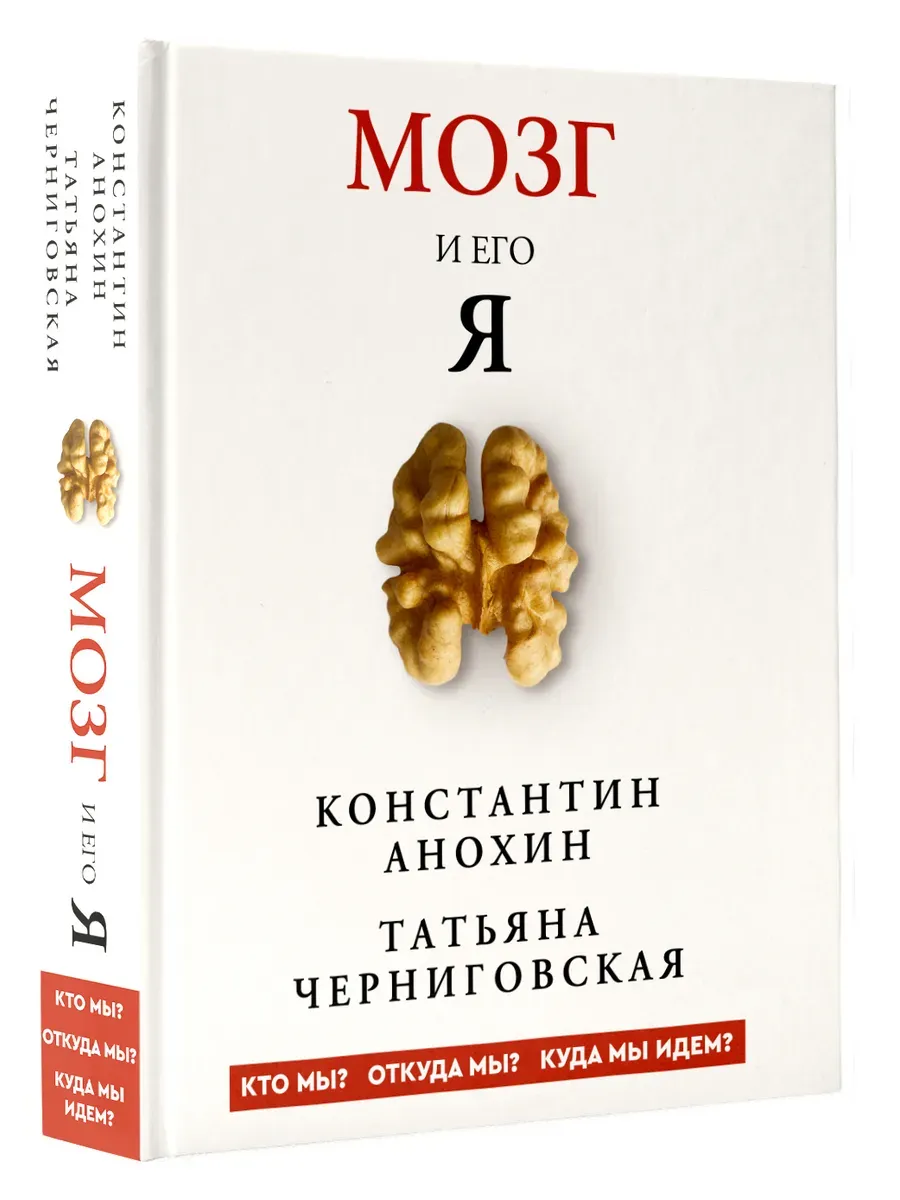 Мозг и его "Я". Кто мы? Откуда мы? Куда мы идем?