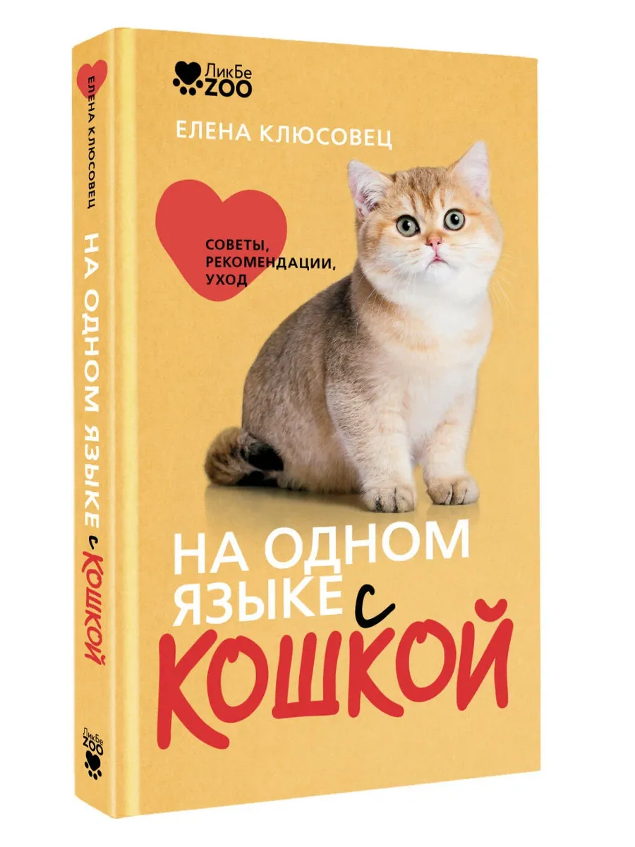 На одном языке с кошкой. Советы, рекомендации, уход