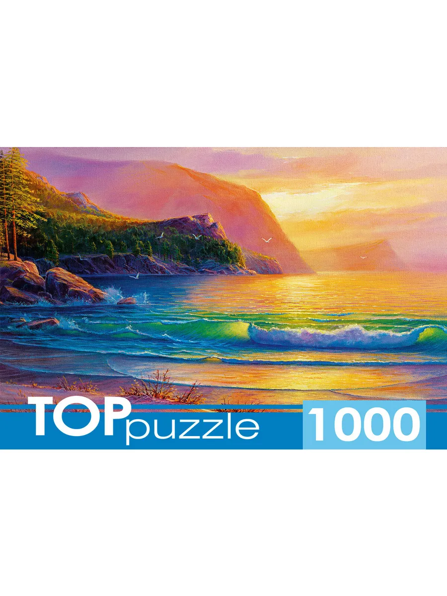 .1000."   " TOPpuzzle   , 68,5*48,5,   19*15,1*6 -    , , 4610144898560, 