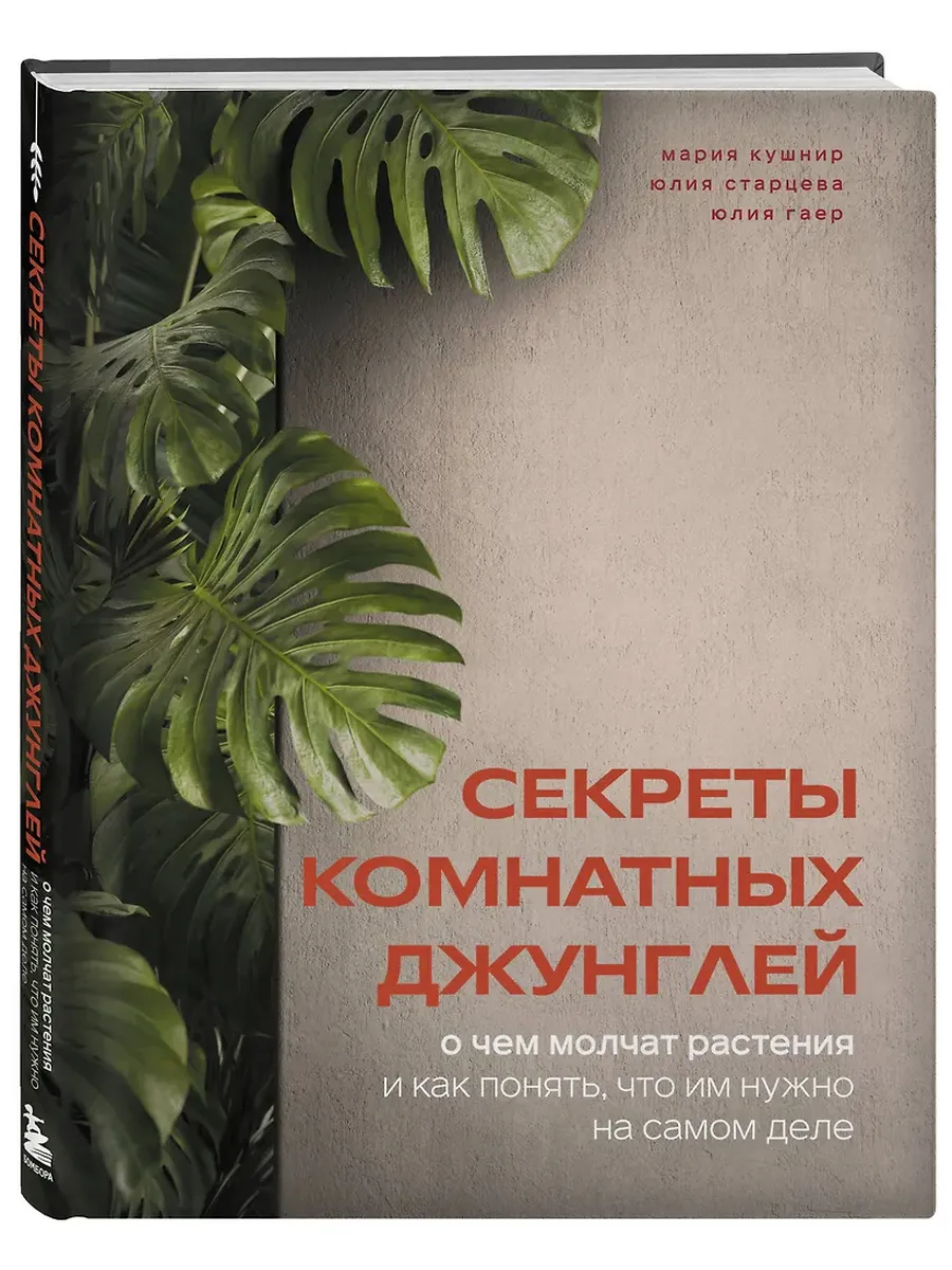 Секреты комнатных джунглей. О чем молчат растения и как понять, что им нужно на самом деле