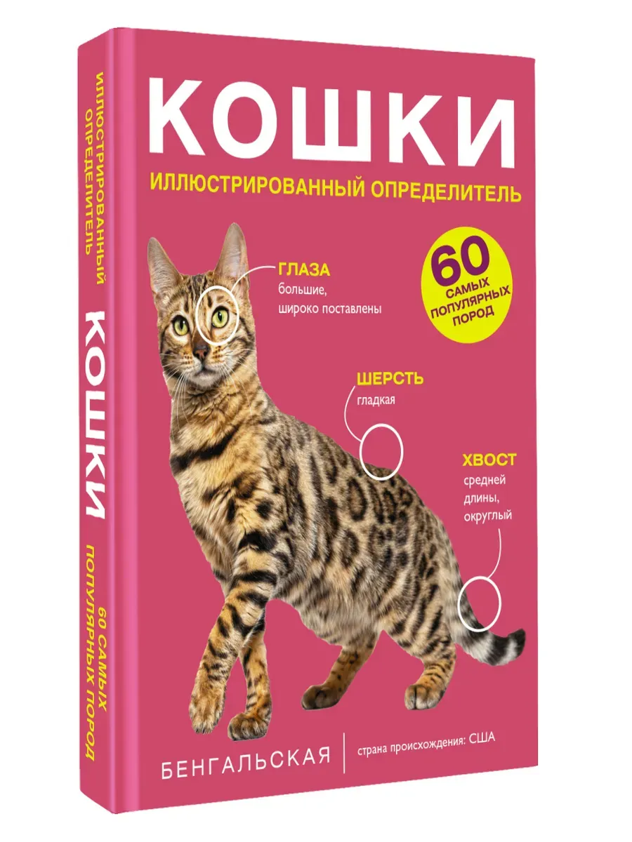 Кошки. 60 самых популярных пород. Иллюстрированный определитель