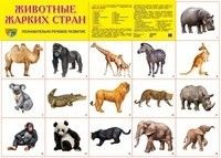 ."  " -    , , 9785994904923, 