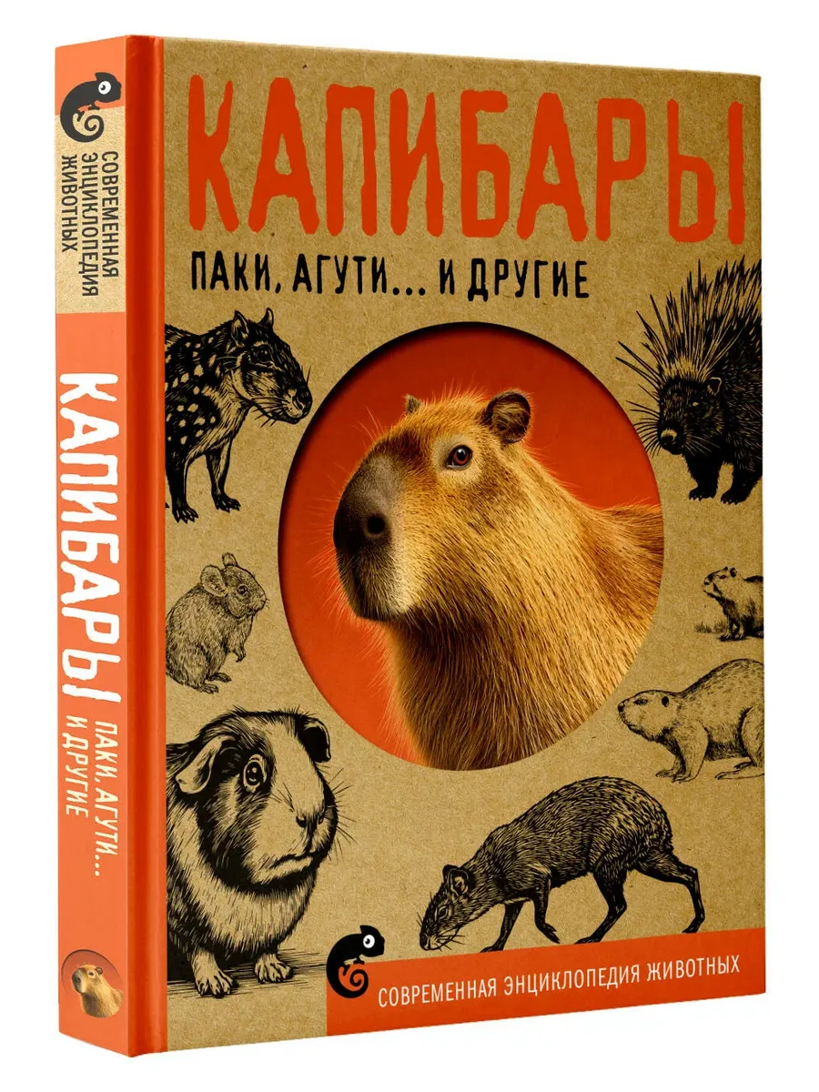 Капибары, паки, агути и другие