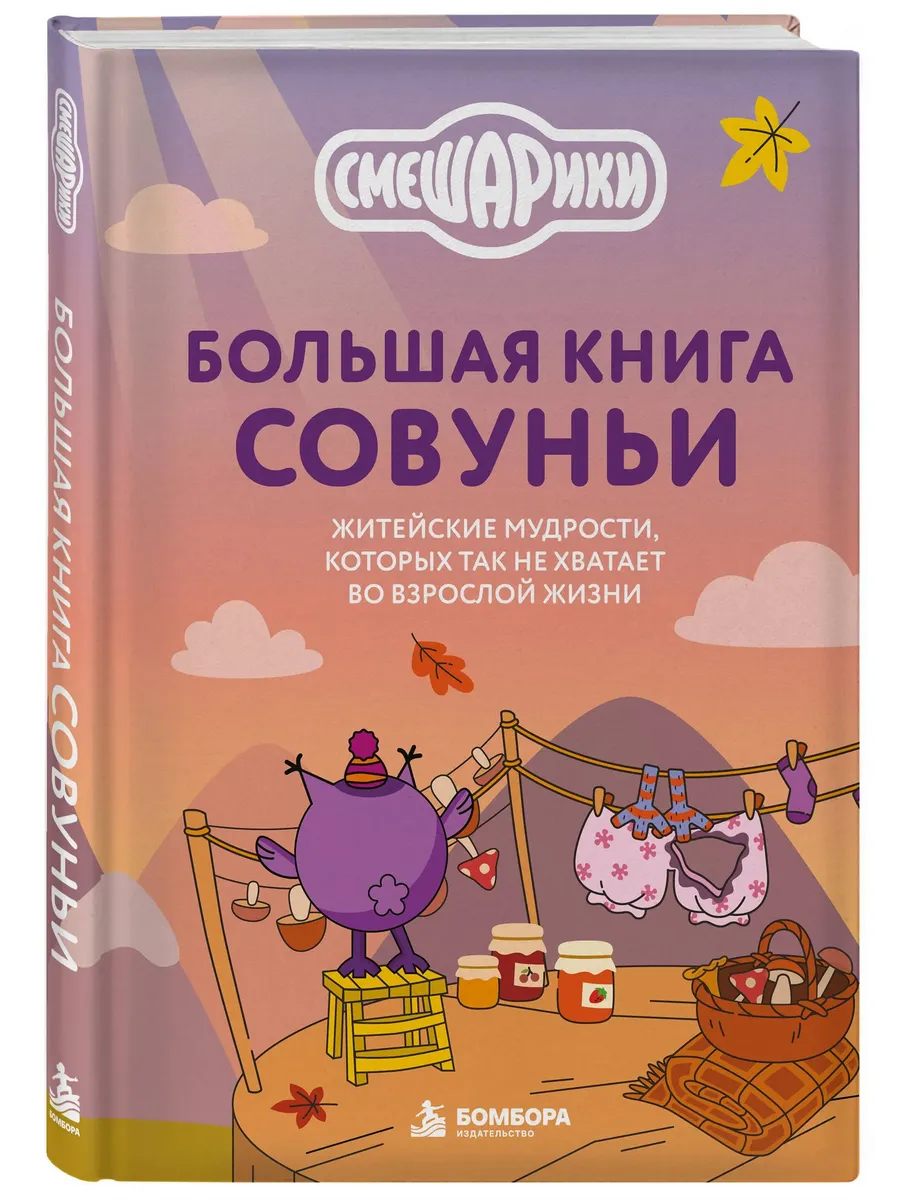 Большая книга Совуньи. Житейские мудрости, которых так не хватает во взрослой жизни