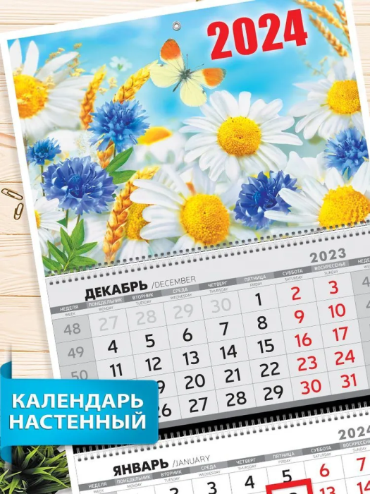 Квартальный календарь "Ромашки 2024" - купить в магазине Кассандра, фото, 4603262868003, 