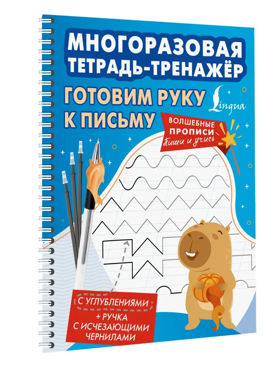 Готовим руку к письму. Многоразовая тетрадь-тренажёр