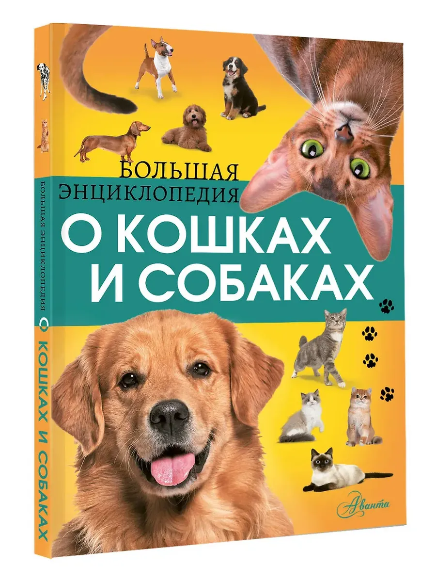 Большая энциклопедия о кошках и собаках