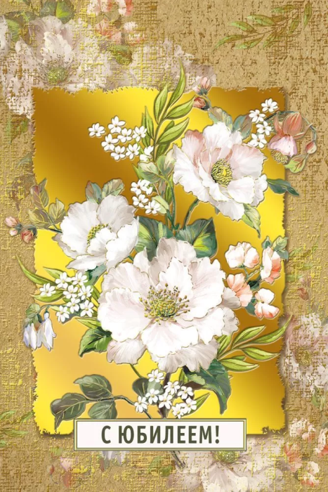  5 " !" -    , , 4603262475003, 