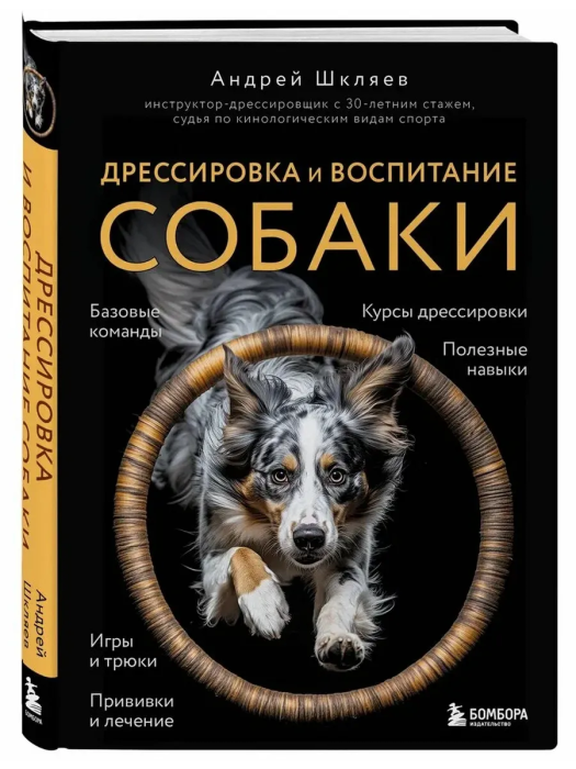 ����������� � ���������� ������ - ������ � �������� ���������, ����, 9785042128219, 