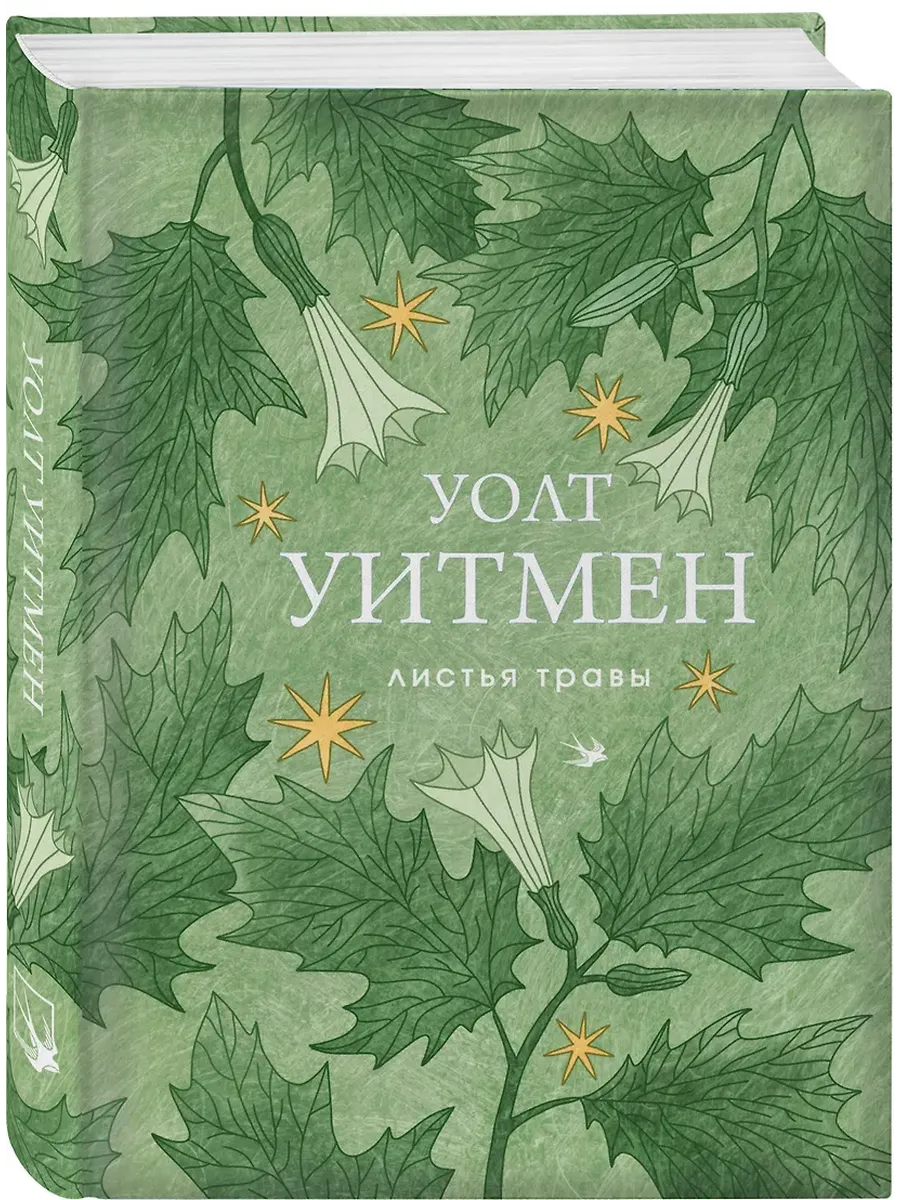 Листья травы