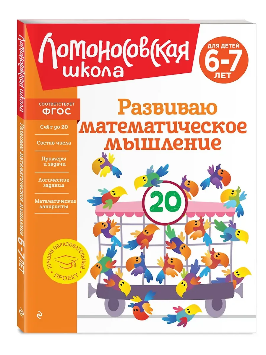 Развиваю математическое мышление: для детей 6-7 лет