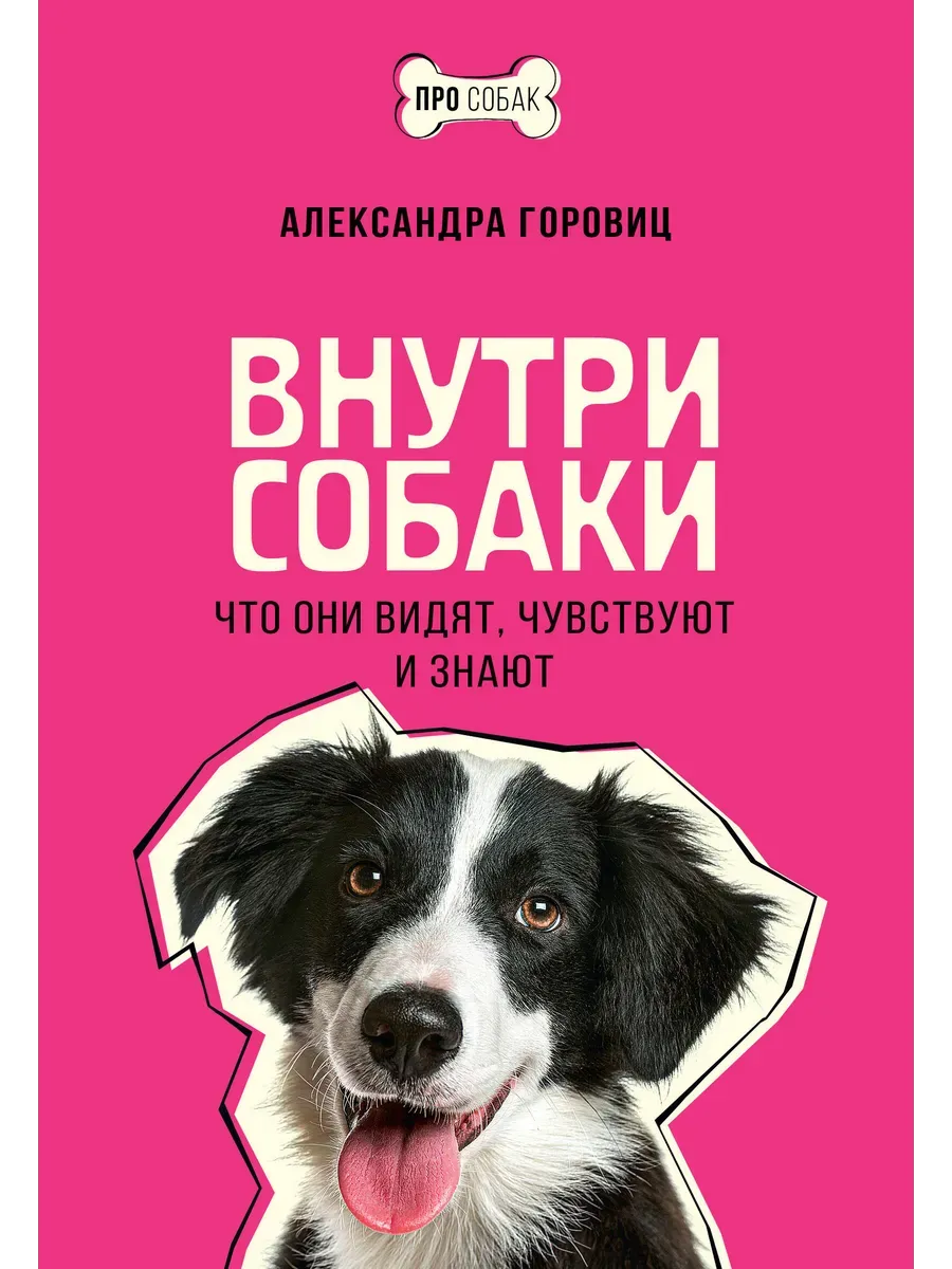 Внутри собаки. Что они видят, чувствуют и знают
