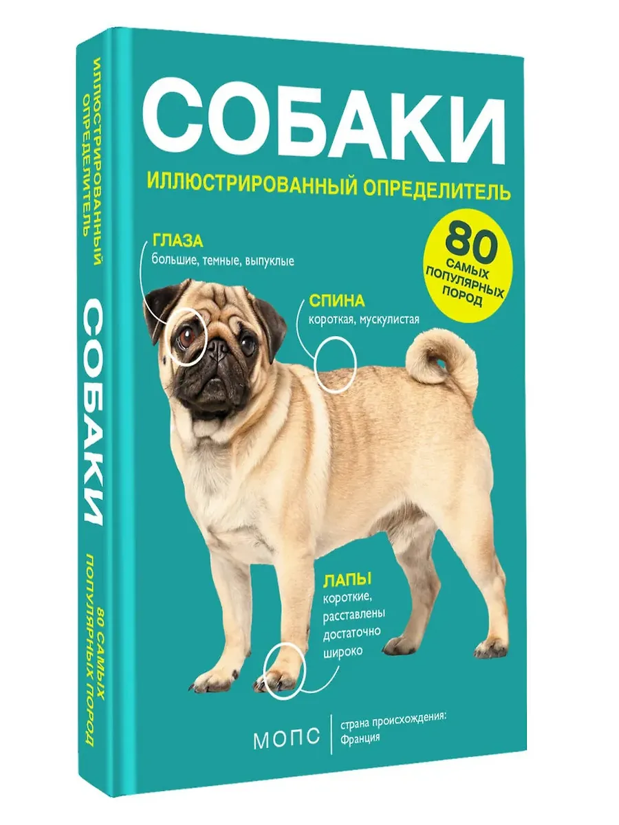 Собаки. 80 самых популярных пород. Иллюстрированный определитель