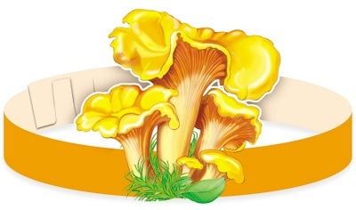 -.   -    , , 4630112011845, 