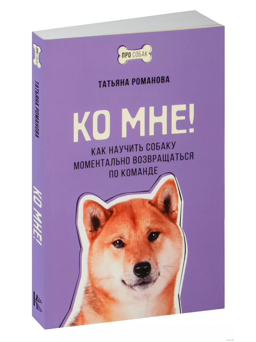 Ко мне! Как научить собаку моментально возвращаться по команде