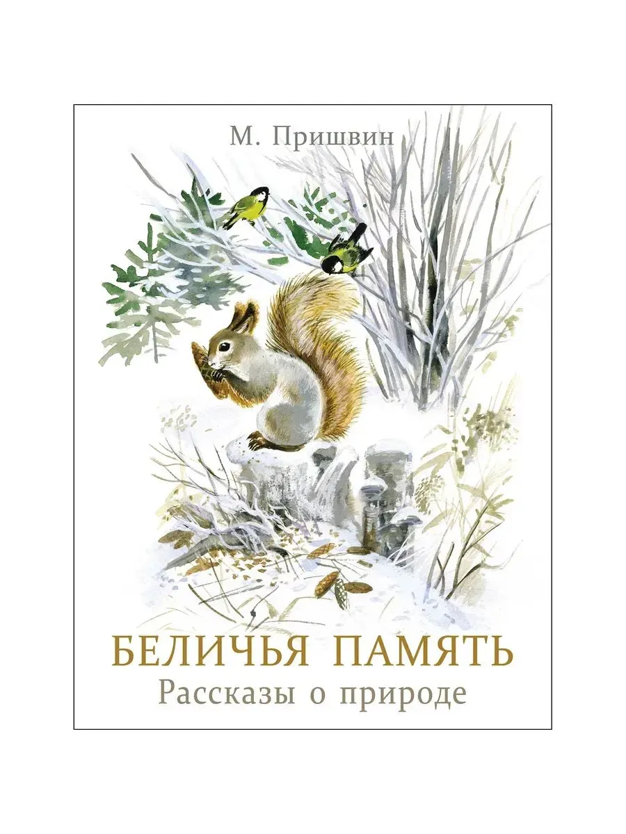 Беличья память