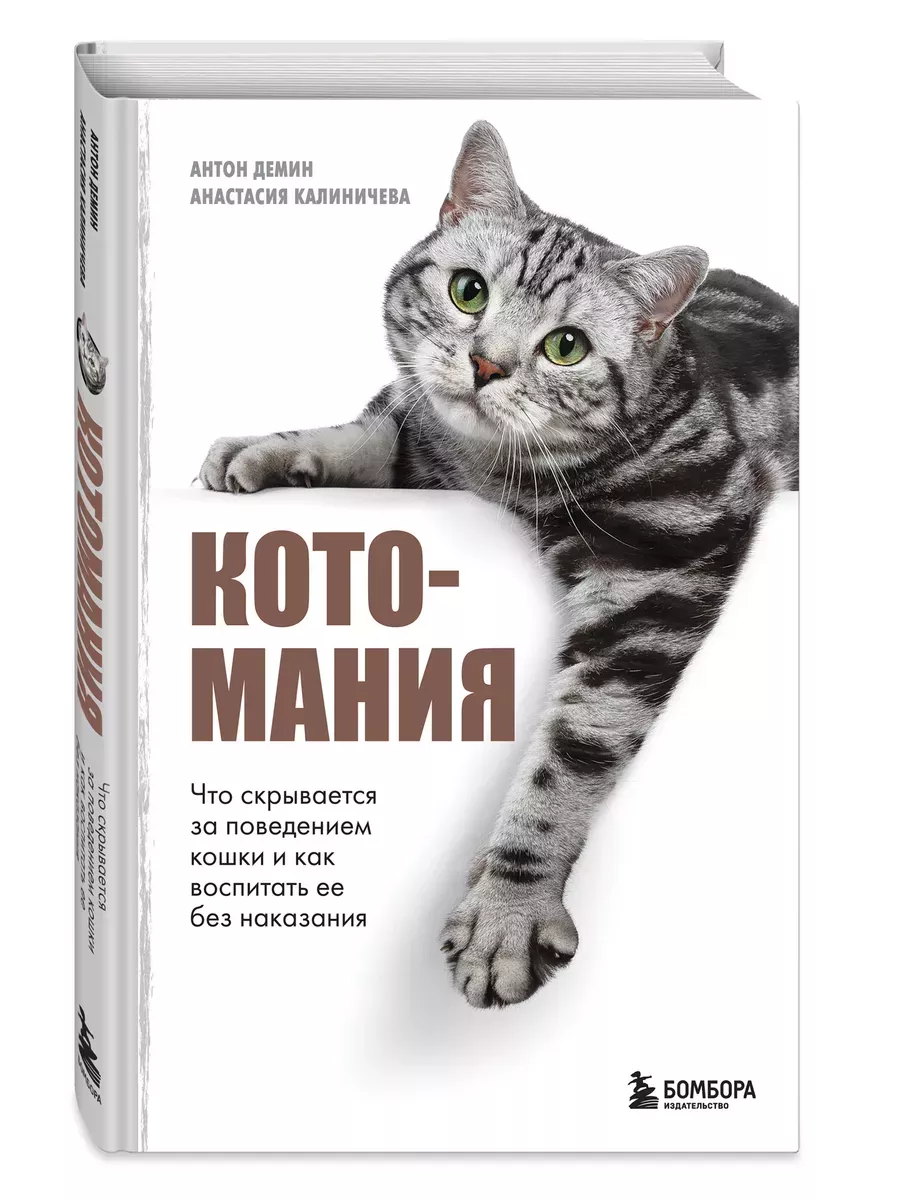 Котомания. Что скрывается за поведением кошки и как воспитать ее без наказания