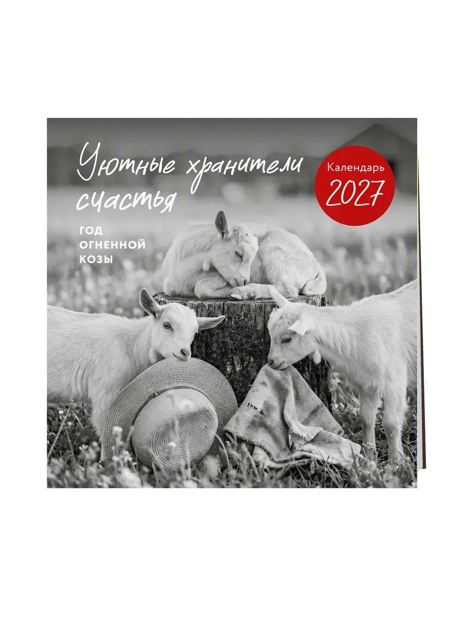 Календарь 2027. Уютные хранители счастья. Год огненной козы/овцы (300х300 мм)