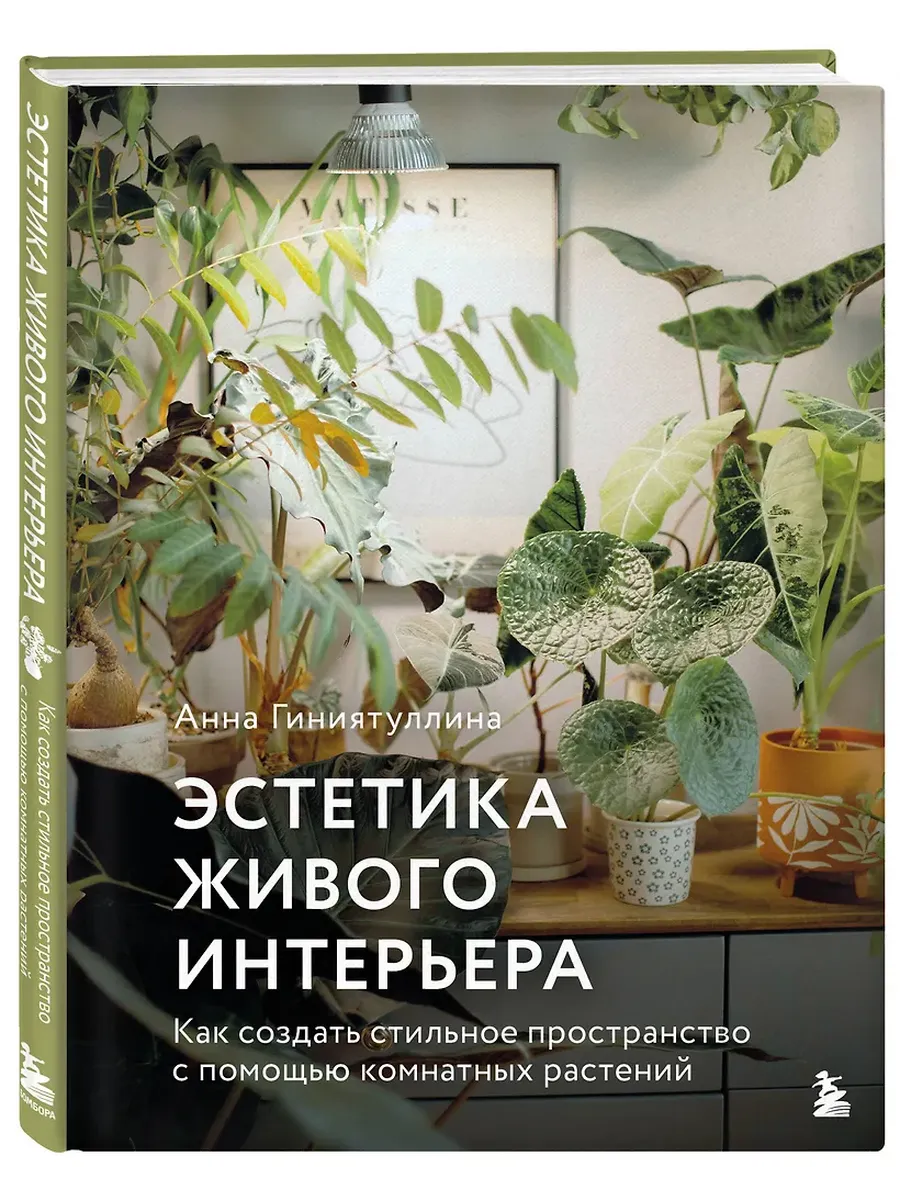 Эстетика живого интерьера. Как создать стильное пространство с помощью комнатных растений