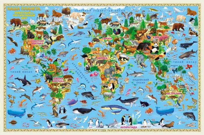 Карта детская.Животный и растительный мир Земли 124*80 настенная карта - купить в магазине Кассандра, фото, 9785907093218, 