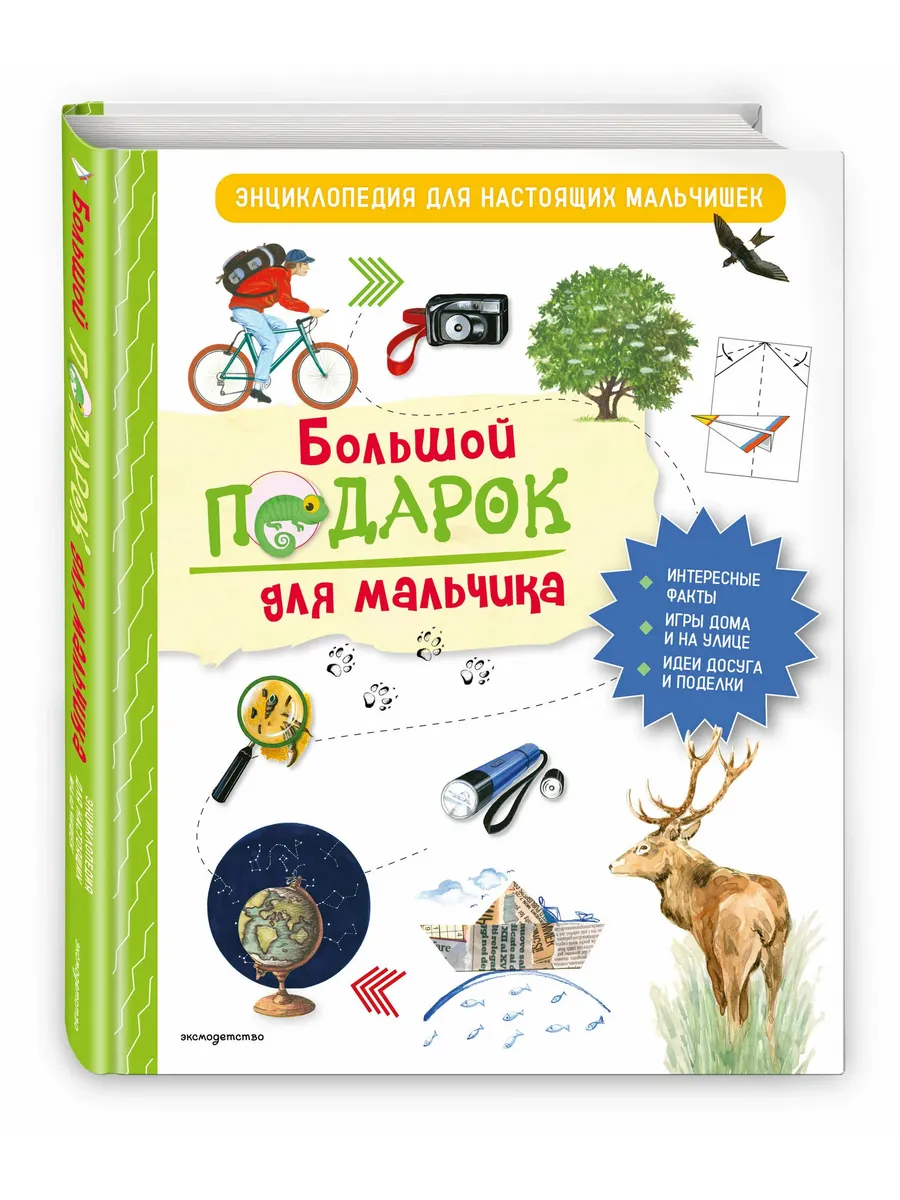 Большой подарок для мальчика. Энциклопедия для настоящих мальчишек
