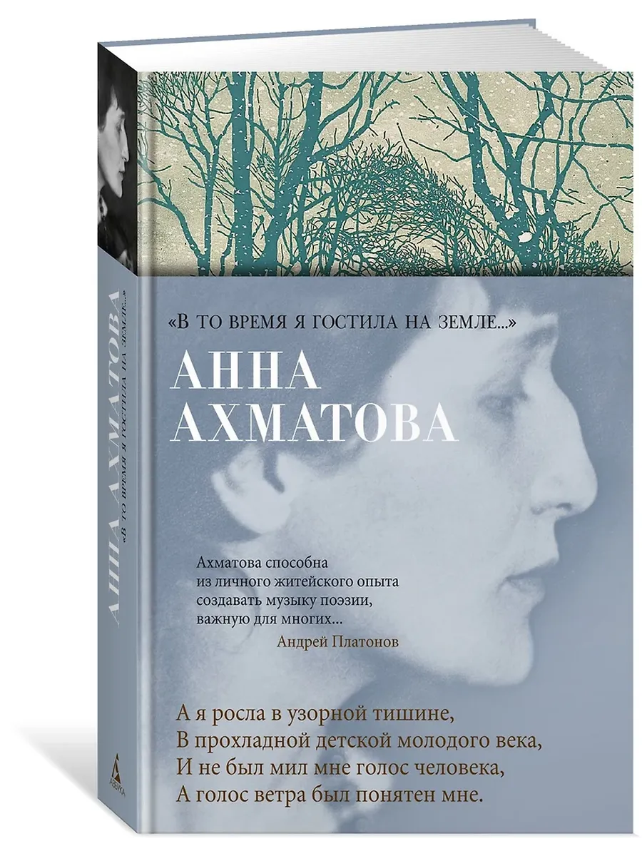 В то время я гостила на земле. . .