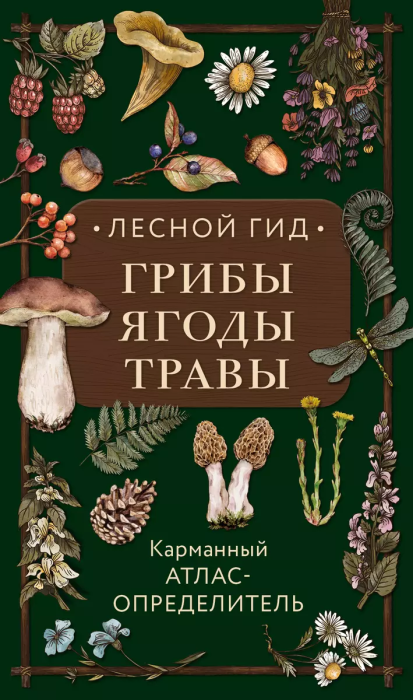 Лесной гид: грибы, ягоды, травы. Карманный атлас-определитель - купить в магазине Кассандра, фото, 9785699997015, 