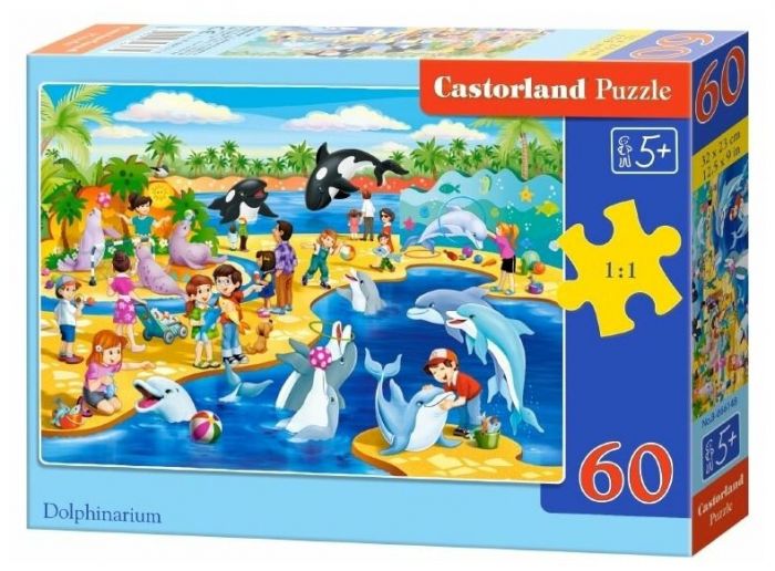.60. MIDI Castor Land -    , , 5904438066148, 