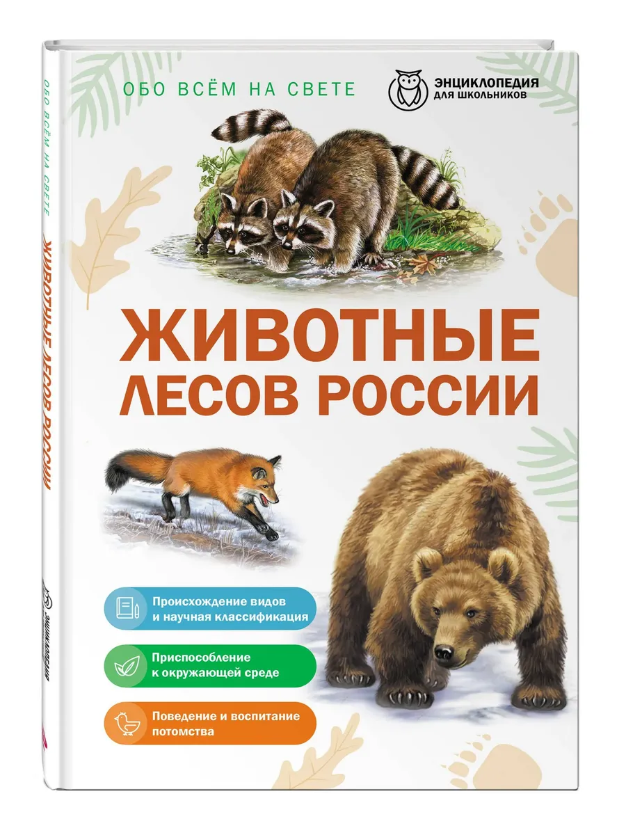 Животные лесов России