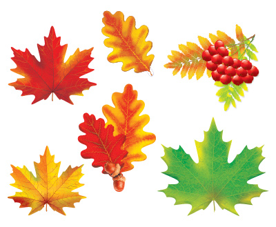 Комплект украшений на скотче. Осенние листья (10 видов в комплекте) - купить в магазине Кассандра, фото, 4630112034882, 