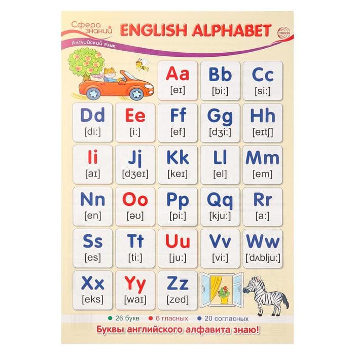 Плакат А3. Английский язык в начальной школе. English Alphabet (Английский алфавит) - купить в магазине Кассандра, фото, 4630112003543, 