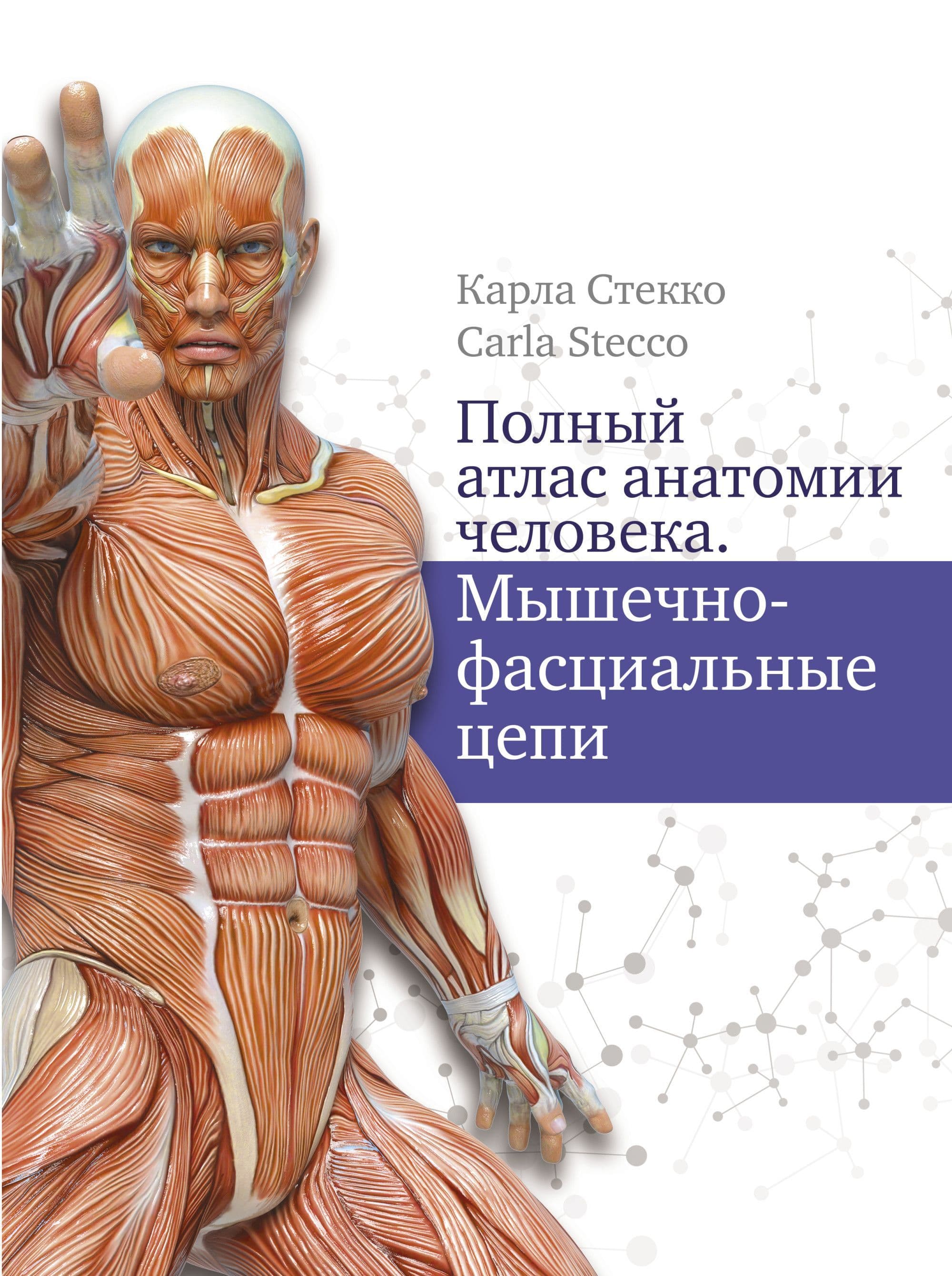 Полный атлас анатомии человека. Мышечно-фасциальные цепи - купить в магазине Кассандра, фото, 9785171367053, 