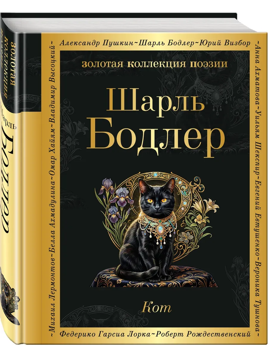 Кот