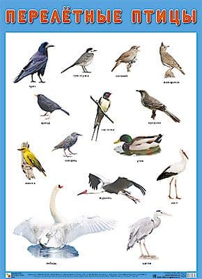  .   -    , , 9785431516368, 