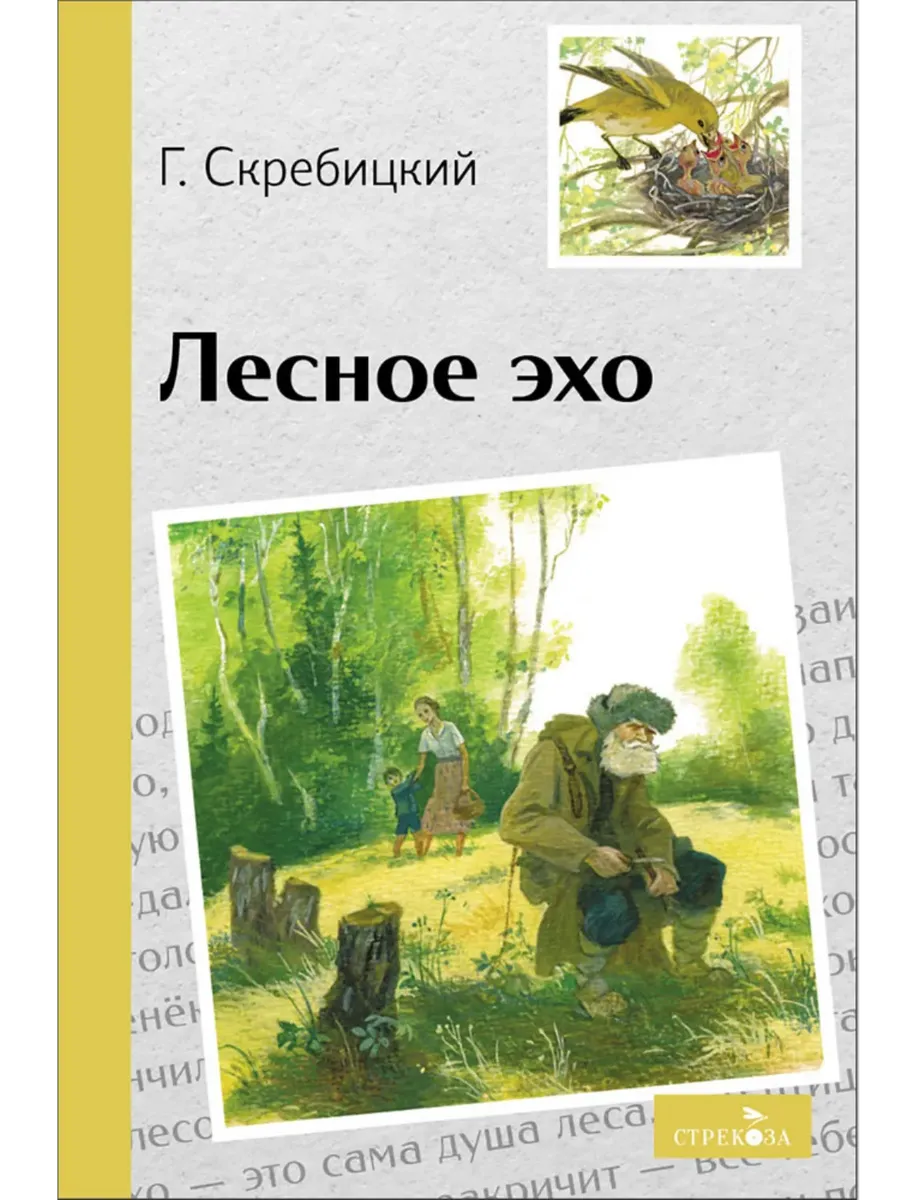 Лесное эхо