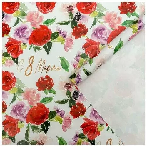   70/2, 100  70,   8  ( -    , , 6900053516739, 