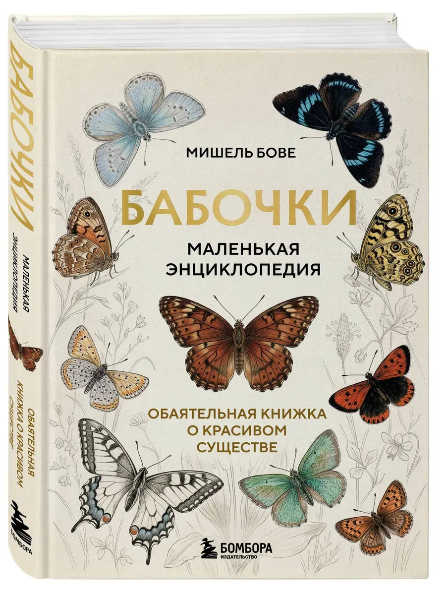 Бабочки! Маленькая энциклопедия. Обаятельная книжка о красивом существе