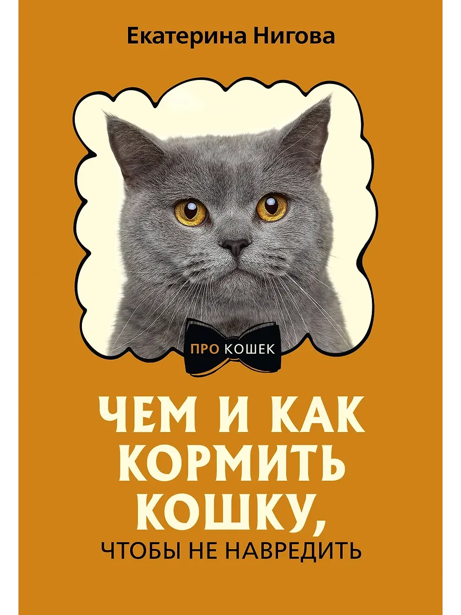 Чем и как кормить кошку, чтобы не навредить