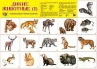 ." -2" -    , , 9785994904947, 