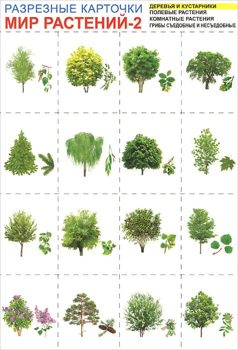  -2.   -    , , 9785994906873, 