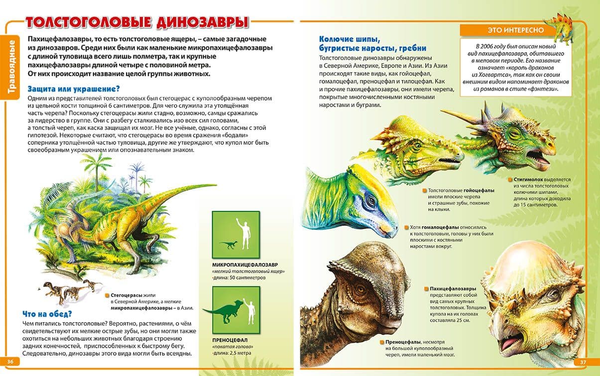 Энциклопедия динозавров с картинками и названиями