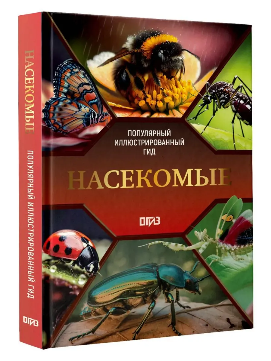 Насекомые. Иллюстрированный гид